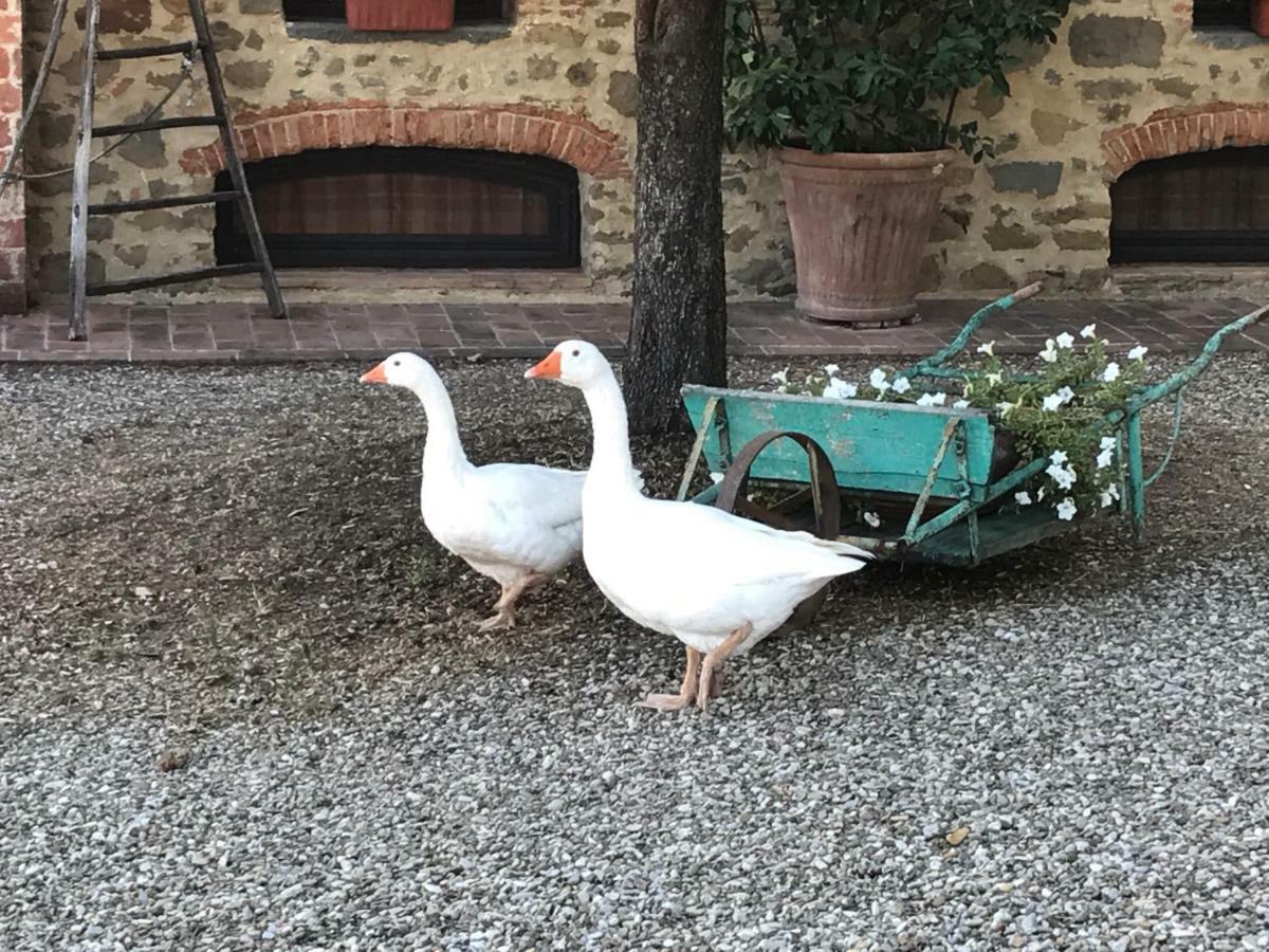 Podere La Fausta Serravalle Pistoiese Kültér fotó